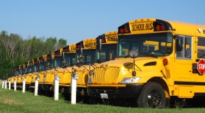 school bus photo