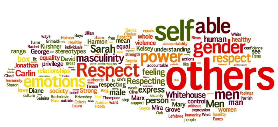Word cloud from healthy masculinity brainstorm during the web conference