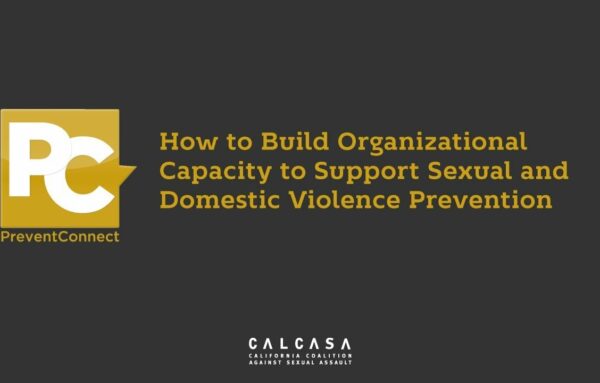 How to Build Organizational Capacity to Support Sexual and Domestic Violence Prevention