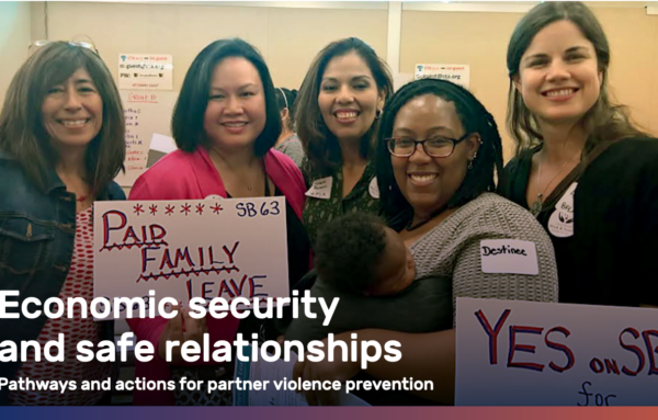 Economic security and safe relationships: Pathways and actions for partner violence prevention
