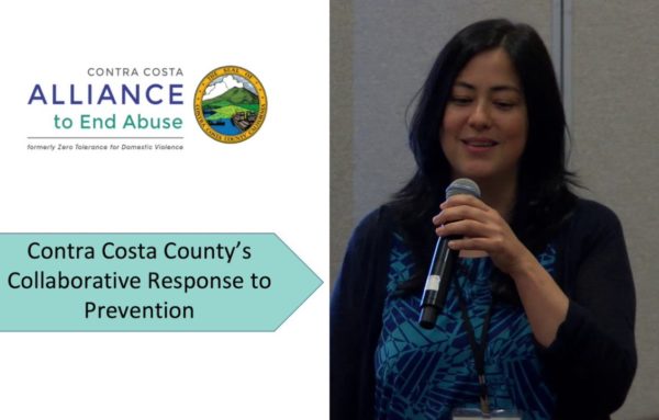 2018 National Sexual Assault Conference: A County Capacity Building and Planning Process to Prevent Multiple Forms of Violence