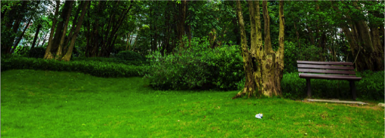 Lush green park with lots of trees and bushes and a blue-green bench