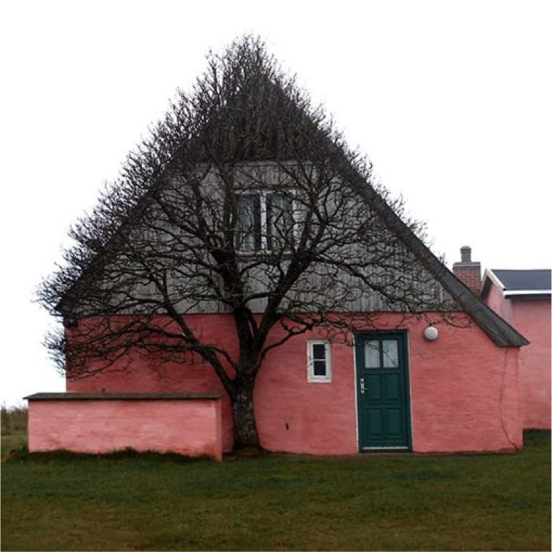 pink house with a tree forming its branches in the same shape of the house