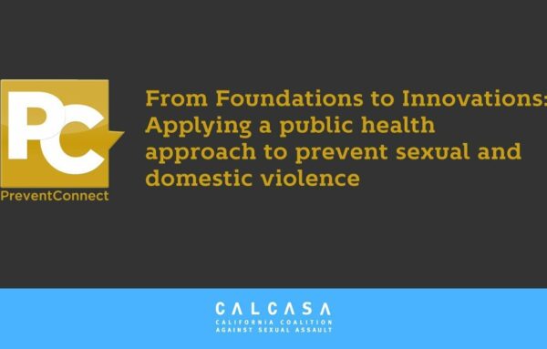 From Foundations to Innovations: Applying a public health approach to prevent sexual and domestic violence