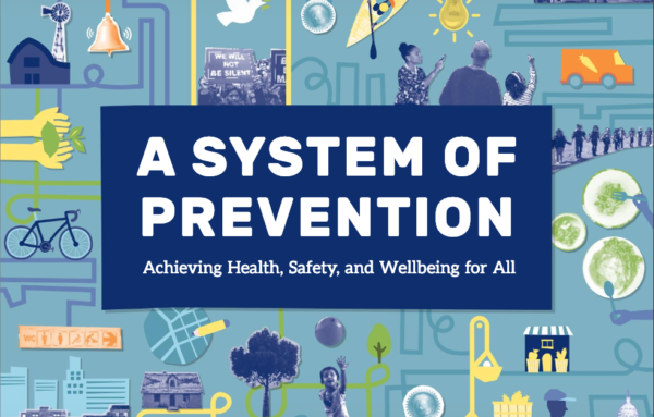 A System of Prevention: Achieving Health, Safety, and Wellbeing for All