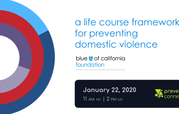 A Life Course Framework for Preventing Domestic Violence