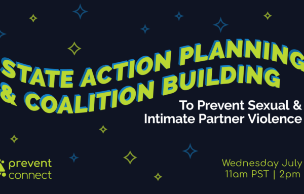 State Action Planning and Coalition Building to Prevent Sexual and Intimate Partner Violence