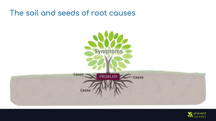 The soil and seeds of root causes. Image of a tree with visible roots and soil. The leaves are labeled symptoms, the trunk is labeled problem, and the roots are labeled causes.