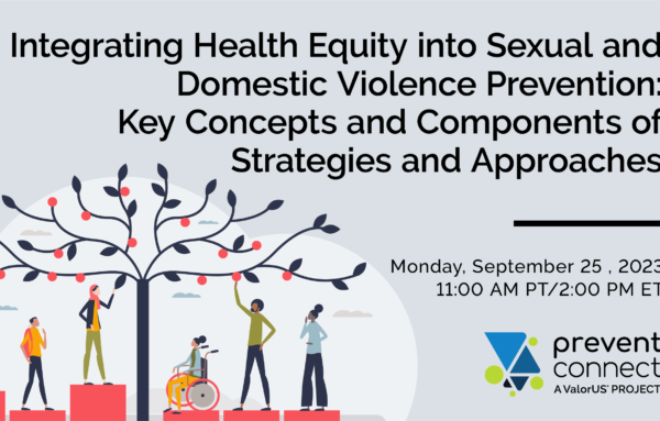 Integrating Health Equity Into Sexual and Domestic Violence Prevention: Key Concepts and Components of Strategies and Approaches