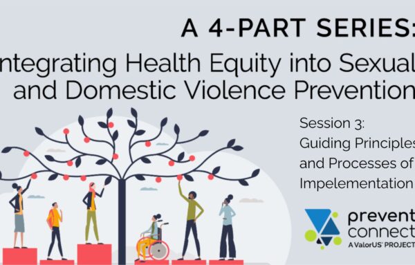 Integrating Health Equity into Sexual and Domestic Violence Prevention Session 3: Guiding Principles and Processes of Implementation