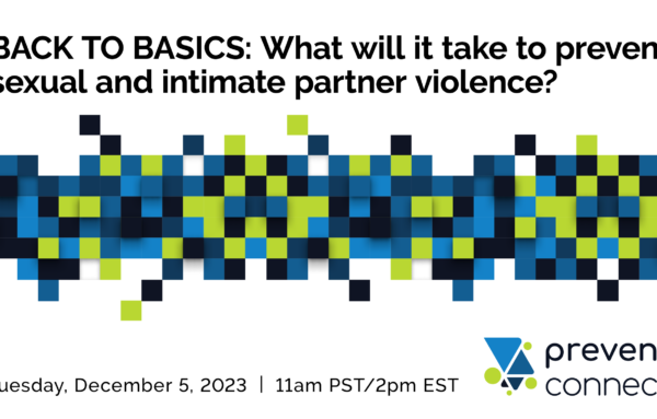 Back to Basics: What will it take to prevent sexual and intimate partner violence?