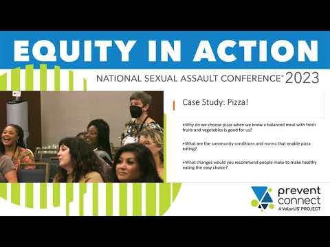 National Sexual Assault Conference 2023: Purpose, Possibilities and Practice in Primary Prevention Strategy