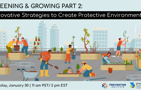 Greening and Growing Part 2: Building Safety in Place to Create Protective Environments and Prevent Sexual & Domestic Violence