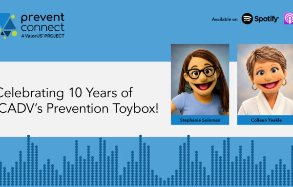 Celebrating 10 Years of ICADV’s Prevention Toybox!